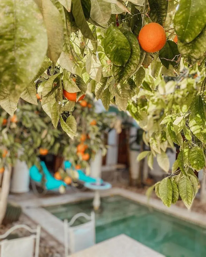 Riad Slitine & Spa Marraquexe